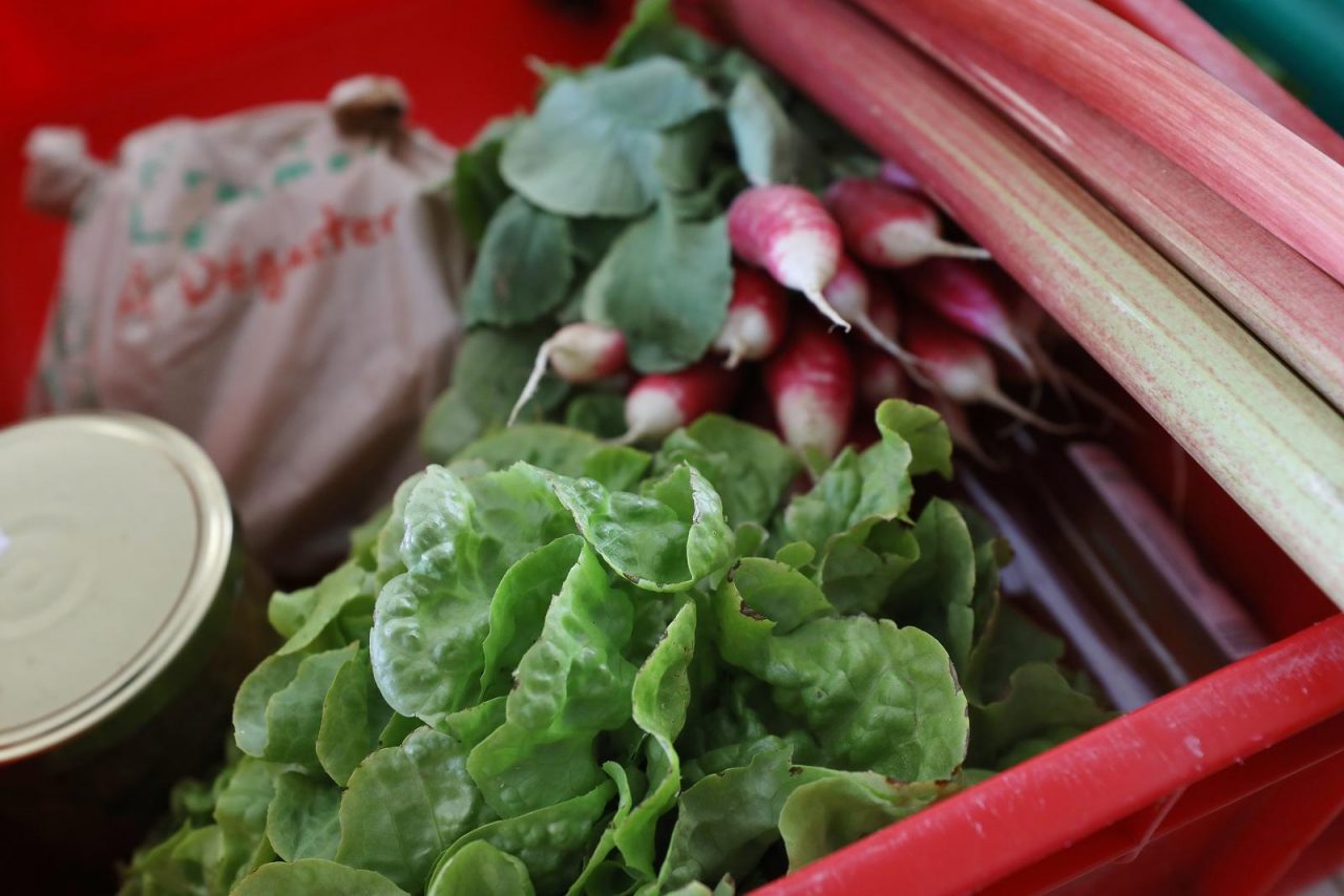 vente produits agricoles collège Lévi Strauss à Lille