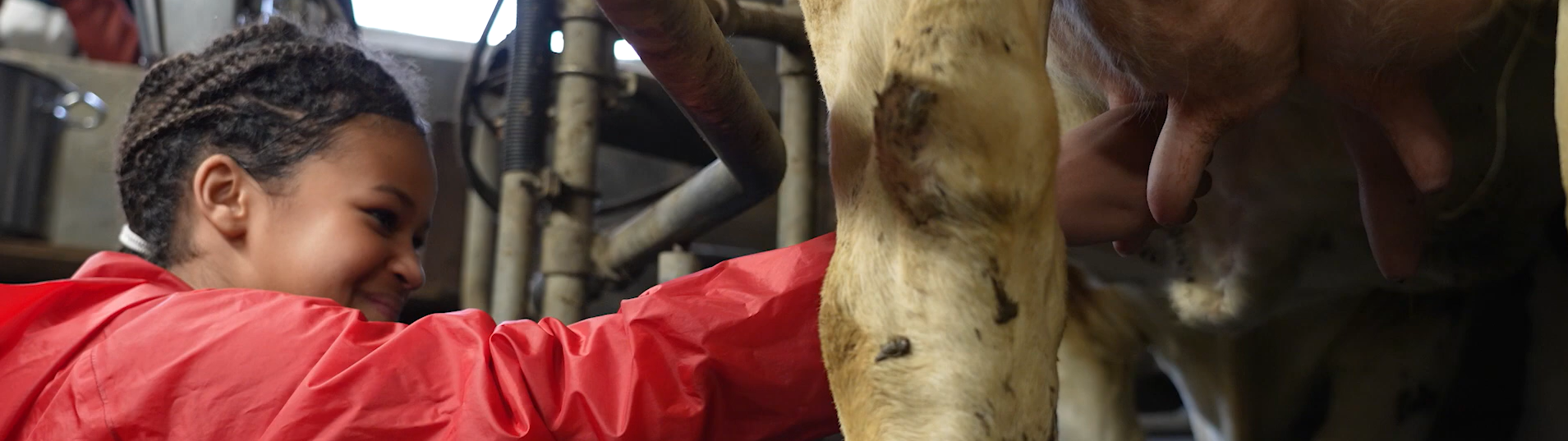 Des collégiens découvrent le monde de la ferme